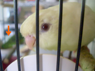 05