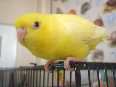 04