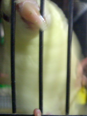 02