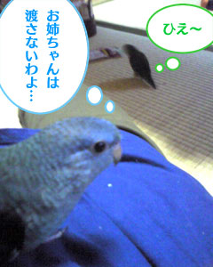 渡さない