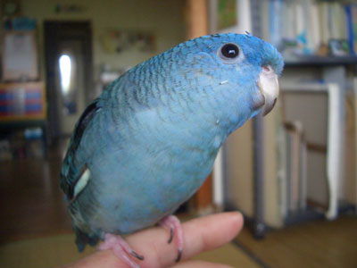 04