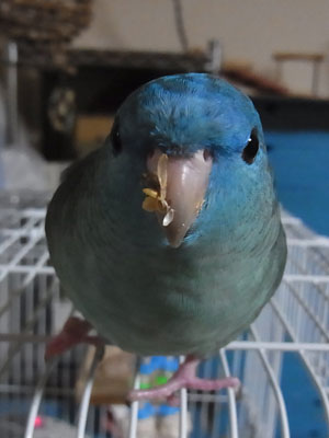 07
