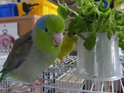 06