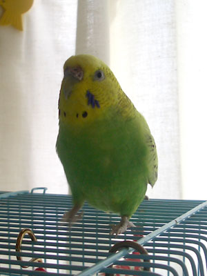 05