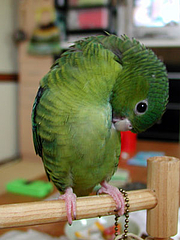 09