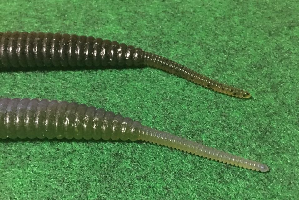 新兵器購入デスアダー6インチ おまけにデカピー バス釣り初心者sの琵琶湖でおかっぱり