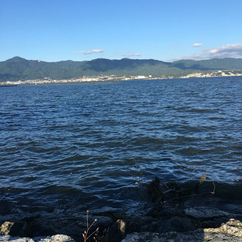 バス釣り初心者sの琵琶湖でおかっぱり
