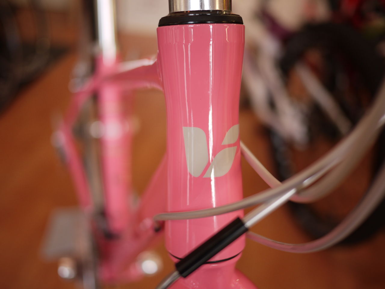 ジャイアントの人気クロスバイク LIV FREEDAが入荷しました : SBC 新着情報