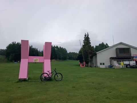 61684142_447609905807633_3848251441214914560_n
