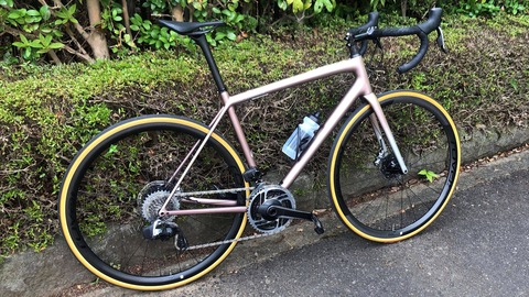 240782932_533849461036913_4187074822910276363_n