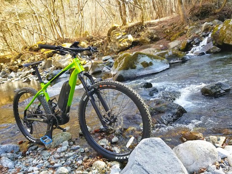 52646452_256308371952877_259880572636102656_n