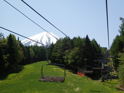 P5246623