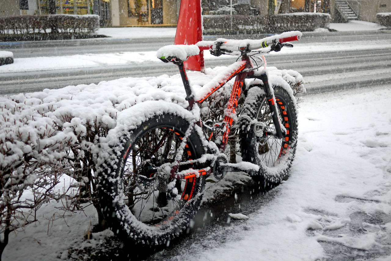 セール対象情報 メーカー在庫完売の自転車まだあります Sbc 新着情報