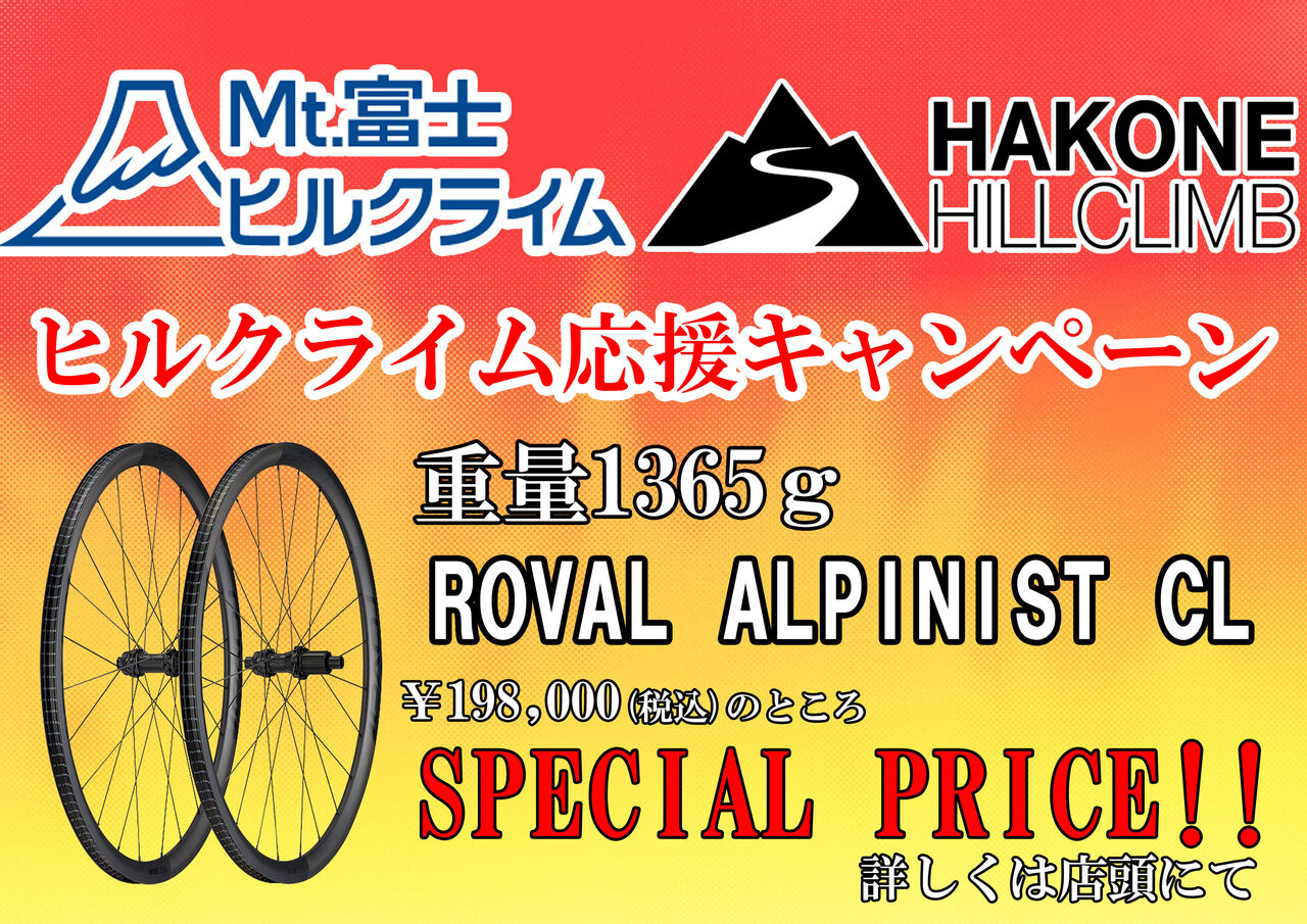 Hirose ～⭕プロフ見て⭕最新　1207 ABUS 9210 170cm Ivy Steel-O-Chain Lock アブス アバス