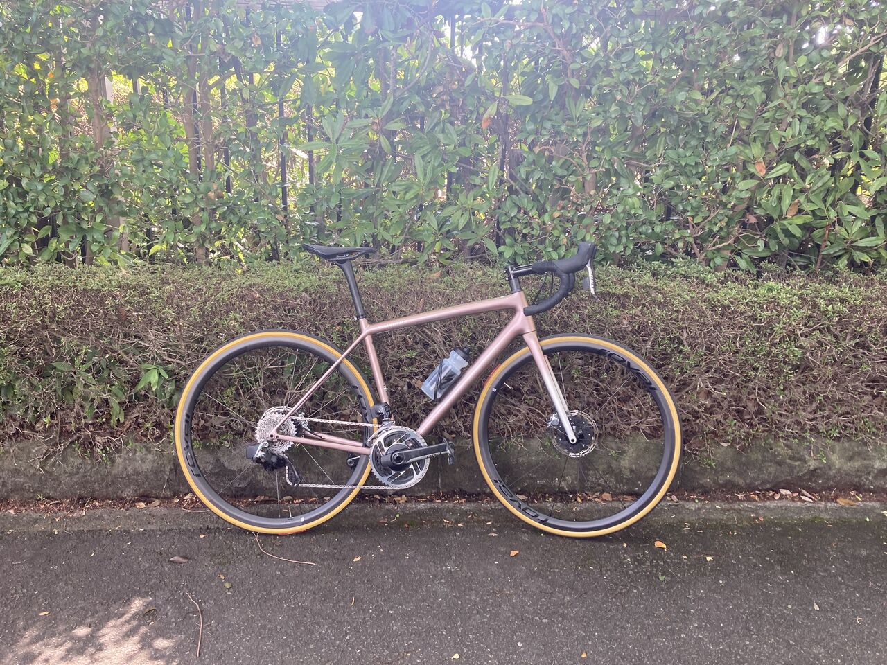 SPECIALIZEDのロードバイク乗り比べ！！＠湘南藤沢店 : SBC 新着情報