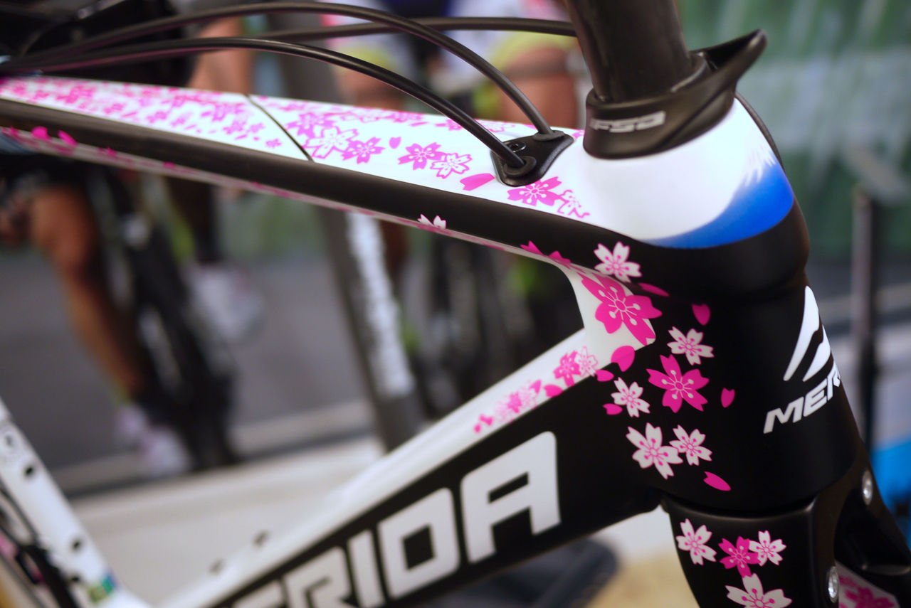 MERIDA REACTO TEAM 桜 リアクト 新城幸也 Di2 メリダ メリダ REACTO TEAM E 桜と富士山を描いた新城幸也専用モデルを