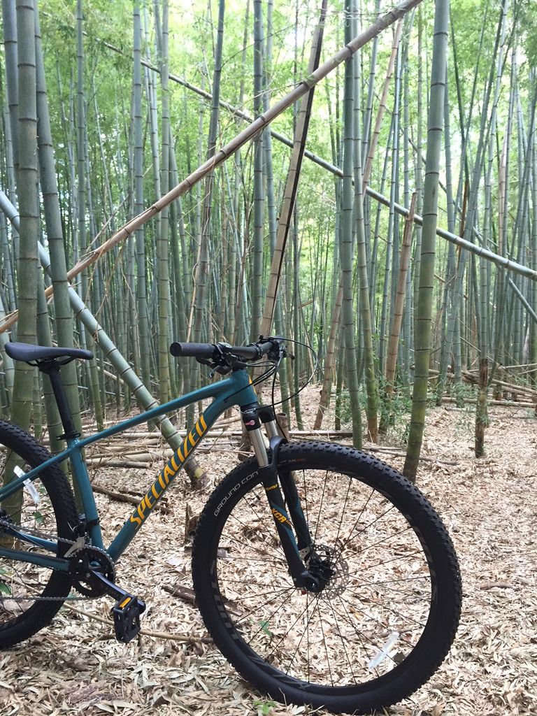 SPECIALIZED 「スペシャライズド」 ROCKHOPPER EXPERT 2019年モデル