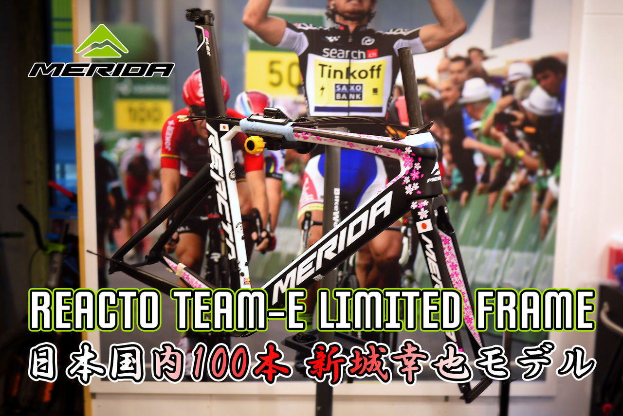 日本限定100本！MERIDA REACTO新城幸也選手モデル入荷！ : SBC 新着情報