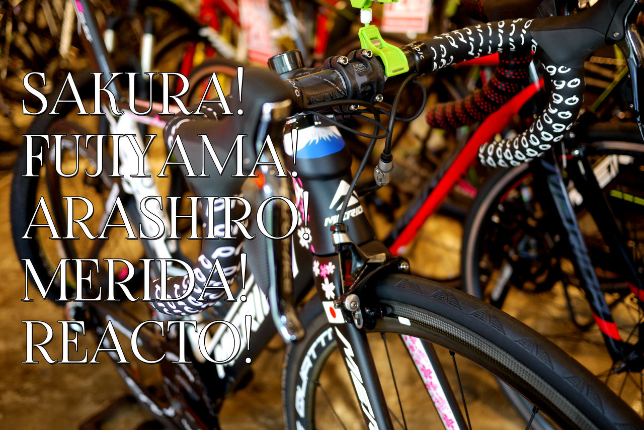 日本に1台！新城カラーのMERIDA REACTO展示中です : SBC 新着情報