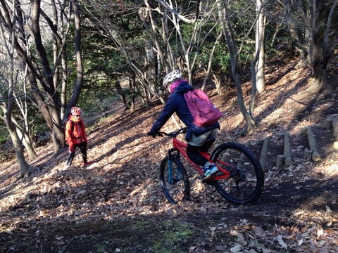 1044588_220490584802121_1996474695_n