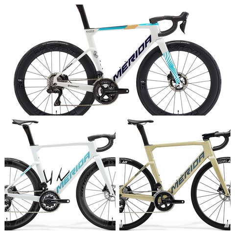reacto_team_L-COLLAGE