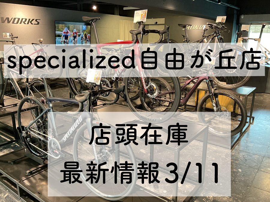 Specialized Enduro elite ガレージ保管 S2サイズ