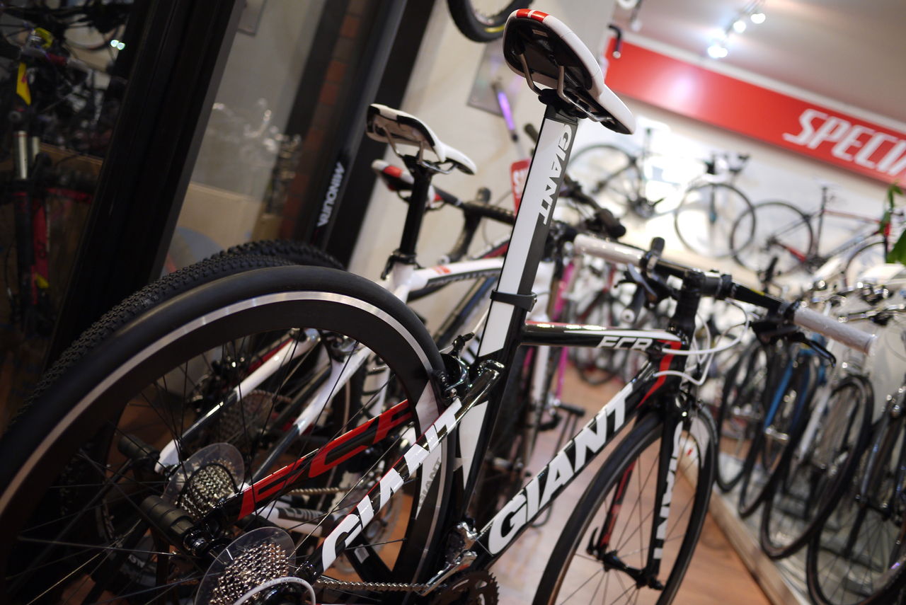 GIANT FCR0入荷しました。 : SBC 新着情報 GIANT FCR0入荷しました。 : SBC 新着情報