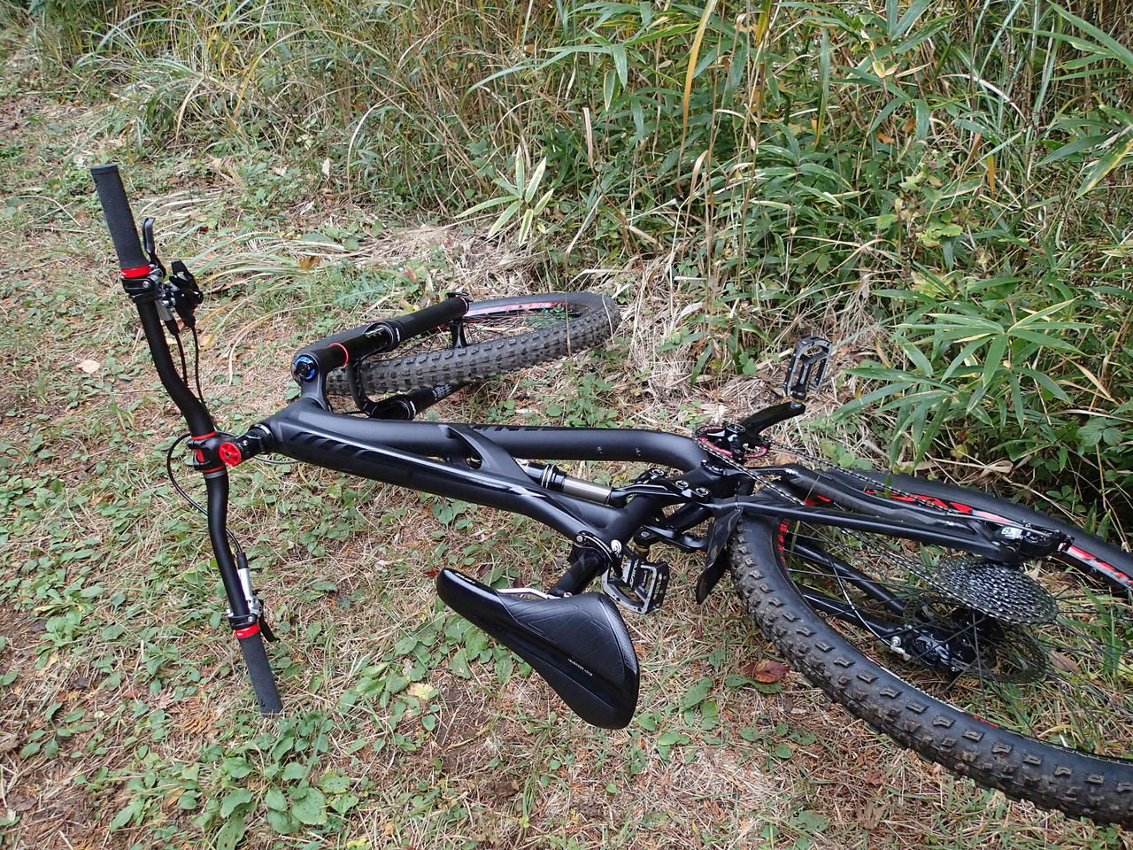 ちょっとマウンテンバイクで遊んできました！ : SBC 新着情報