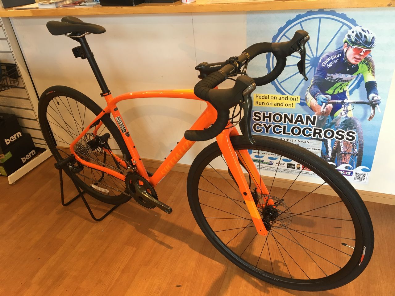 Specialized 2024 diverge dsw