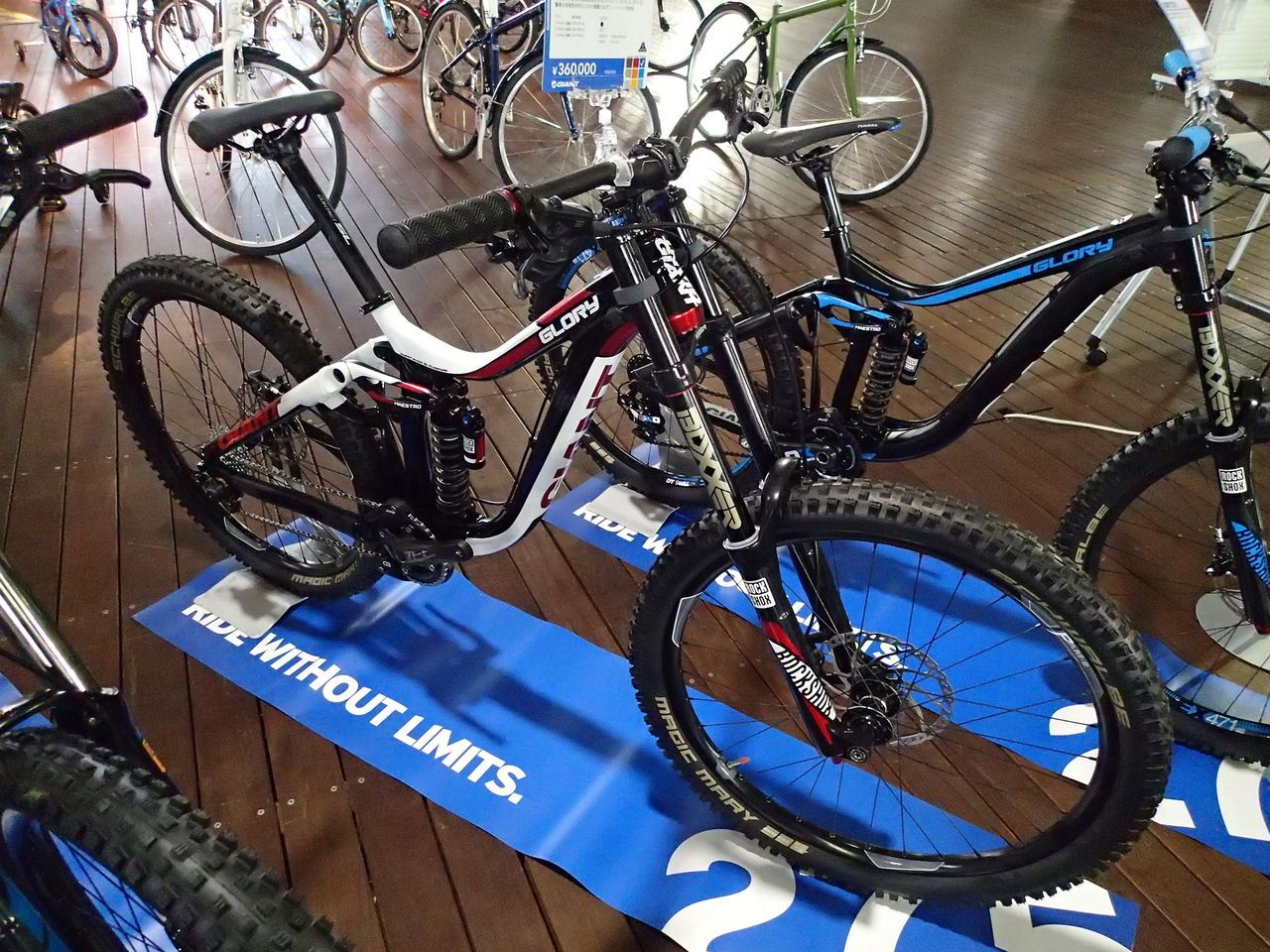 GIANT2015年モデル発表！GLORY・REIGNシリーズ : SBC 新着情報