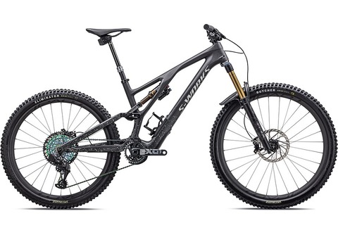 SW STUMPJUMPER EVO