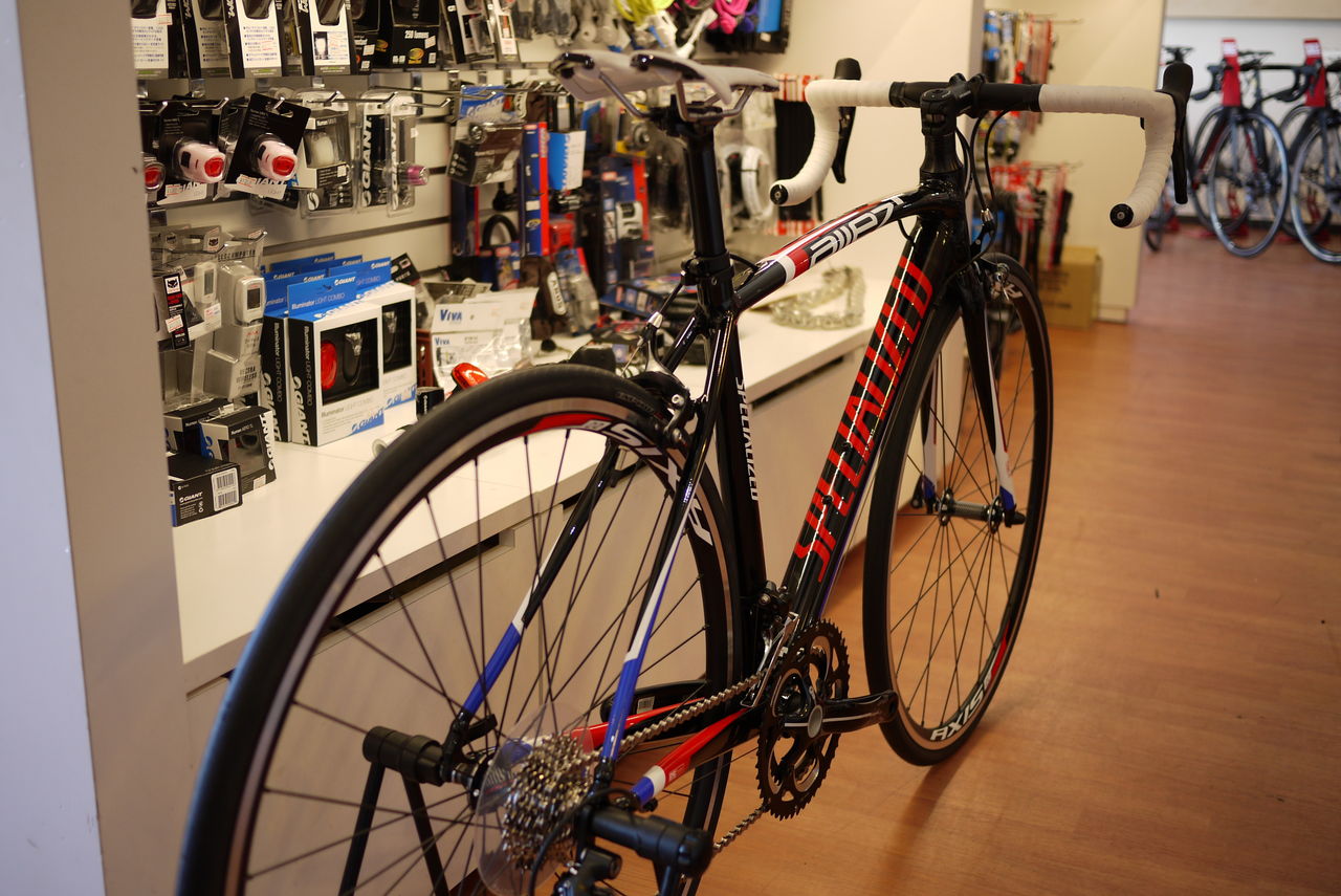 SPECIALIZED ALLEZ RACE人気です。 : SBC 新着情報