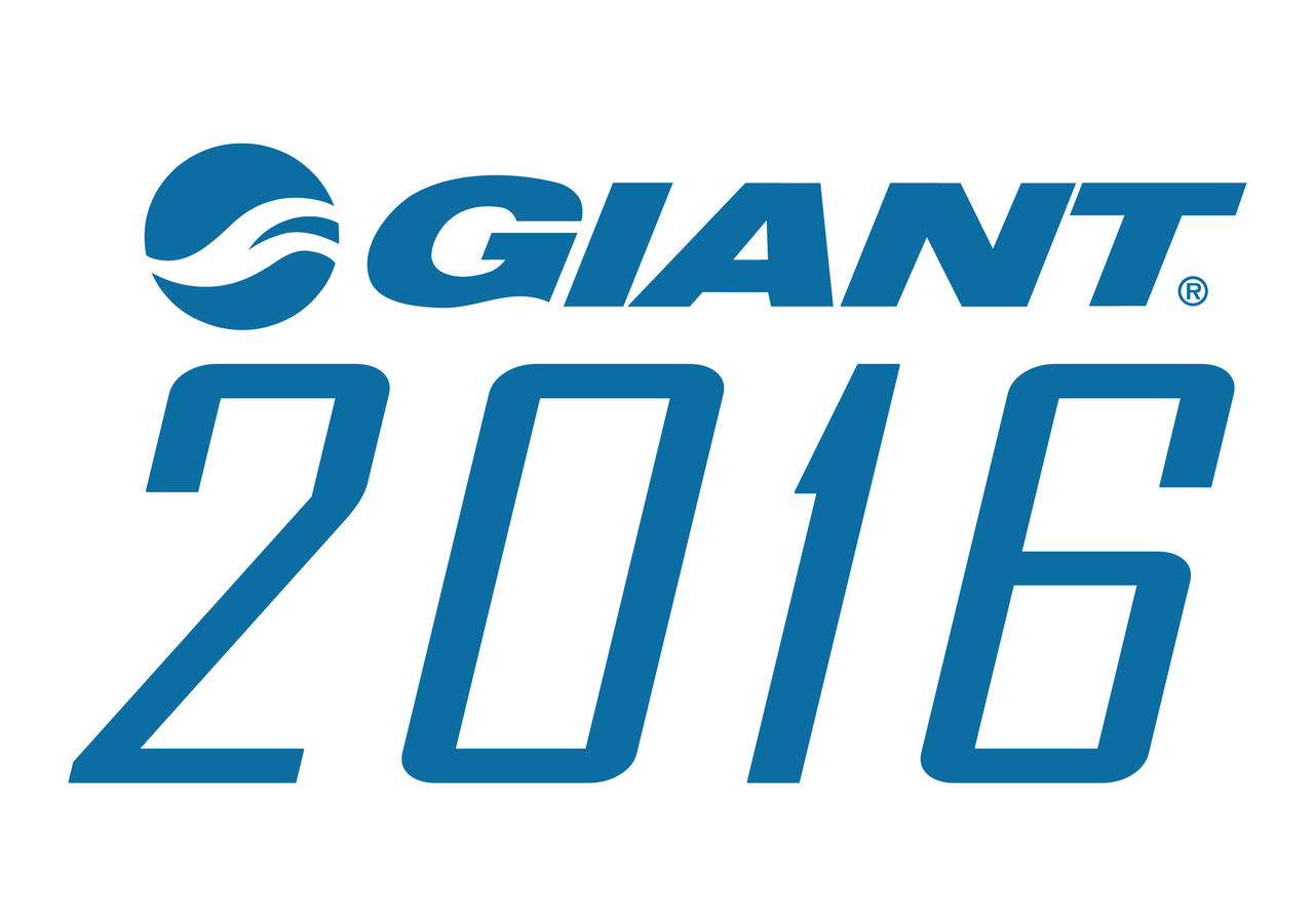 プレハブ分割①GIANT DEFY2 2016 XS カスタム多数 プレハブ分割①GIANT DEFY2 2016 XS カスタム多数 GIANT2016年