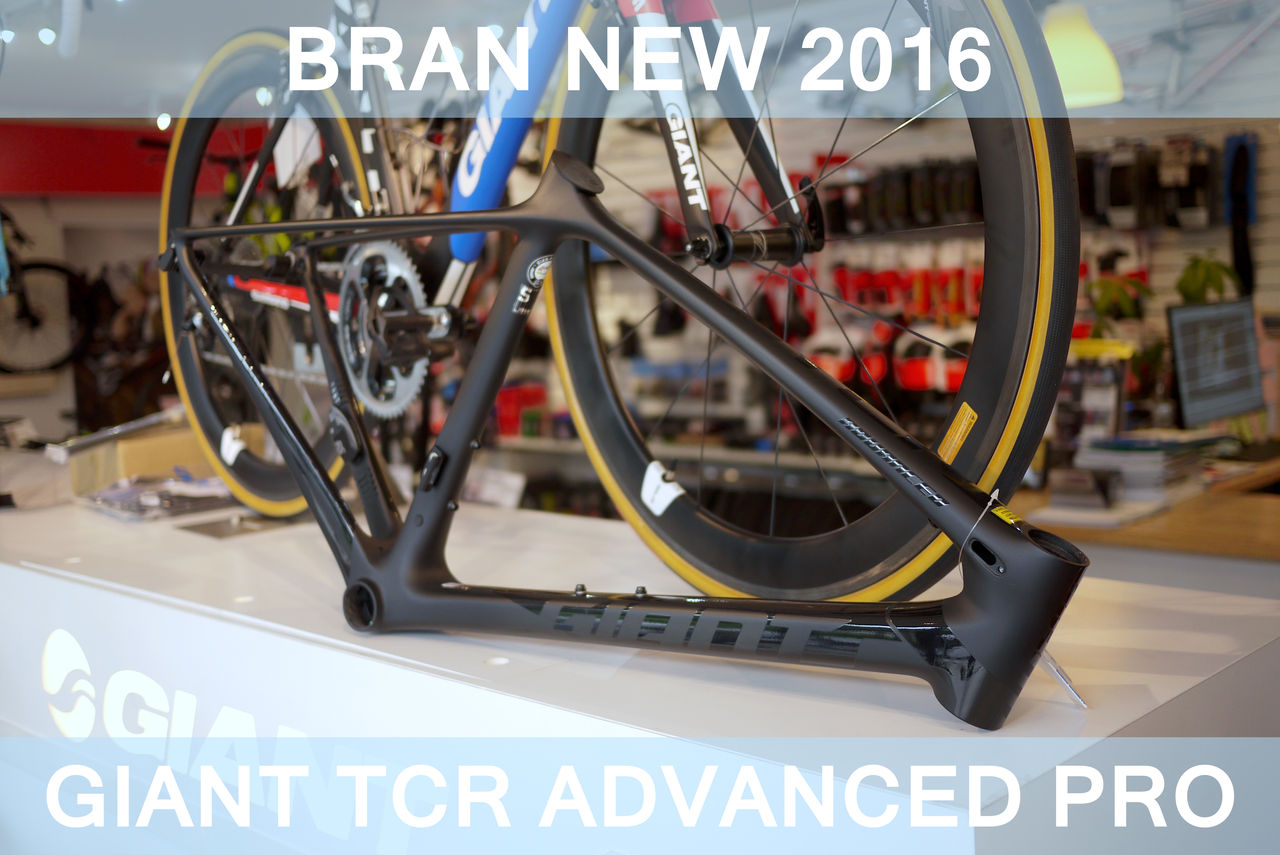 GIANT FS TCR ADVANCED PRO 入荷 : SBC 新着情報