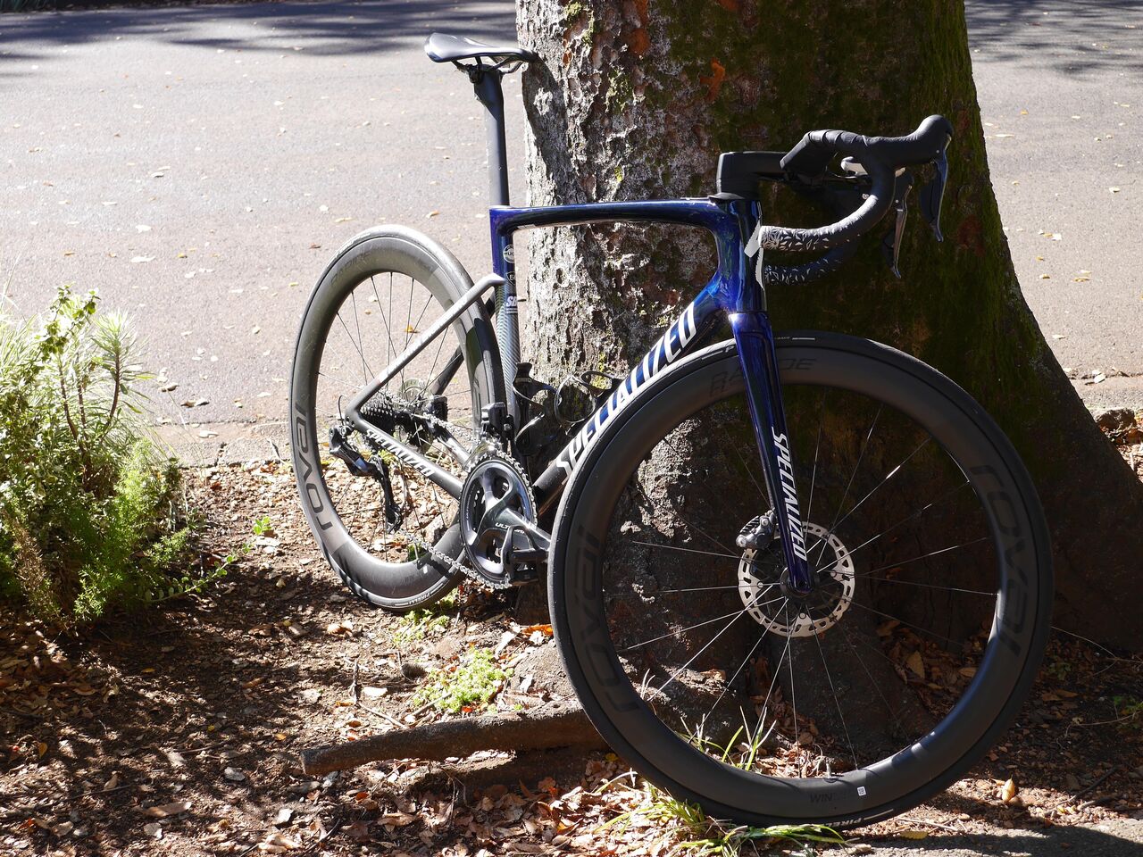 SPECIALIZED 自由が丘」ロードバイク在庫情報!! : SBC 新着情報