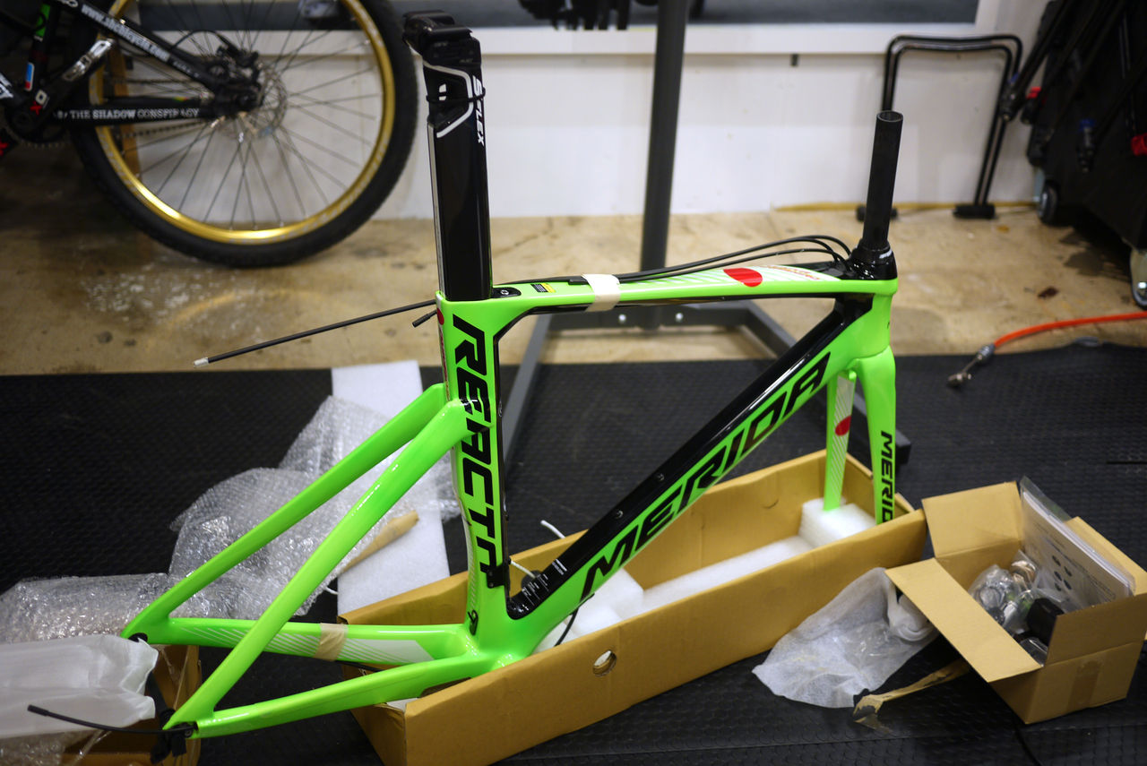 新城ファン必見！メリダの超レアな限定フレームが到着！！ : SBC 新着情報