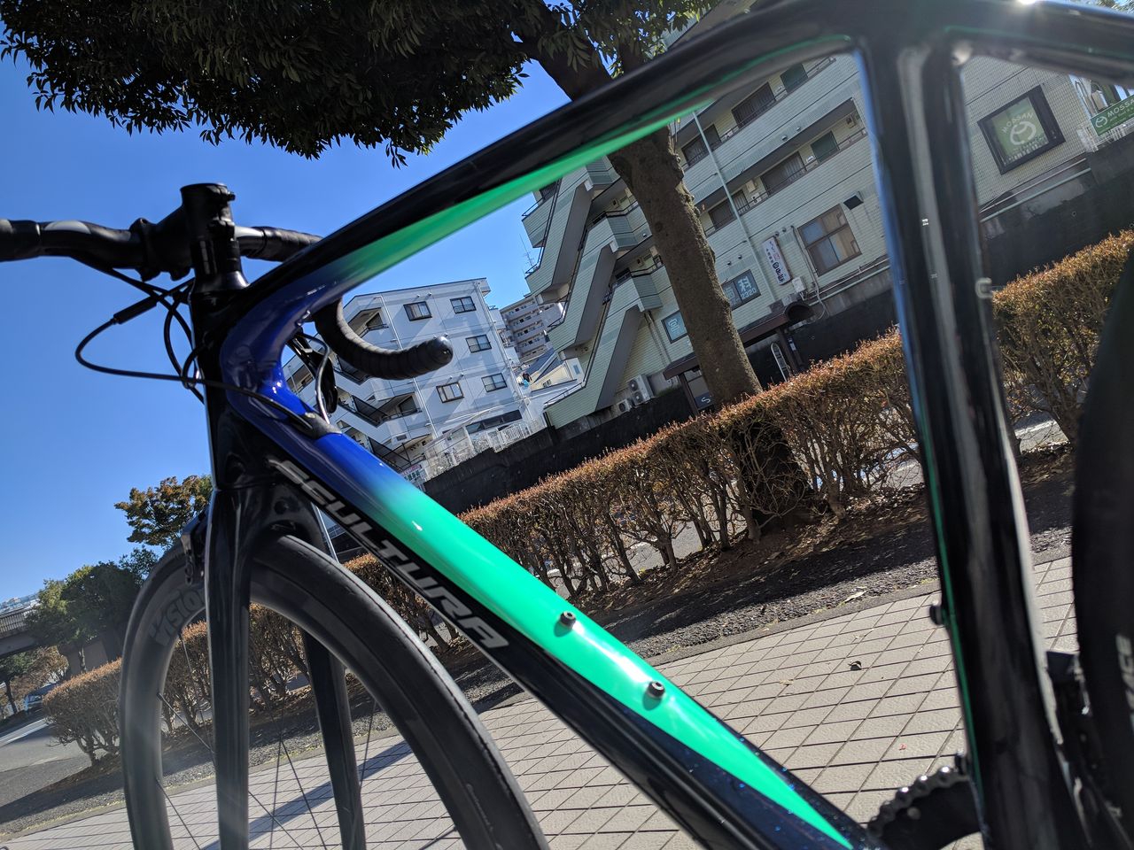 限定モデルのMERIDA【SCULTURA YC EDITION】が入荷しました 限定モデルのMERIDA【SCULTURA YC EDITION】が入荷しました