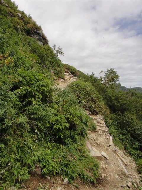 DSC08773_R