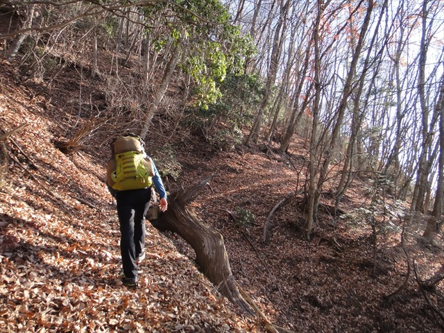 DSC00085_R