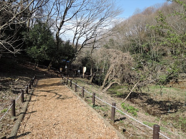 DSCN4752_R