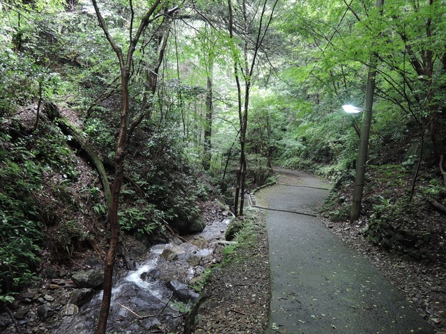 DSCN4227_R