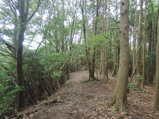 DSCN7856_R