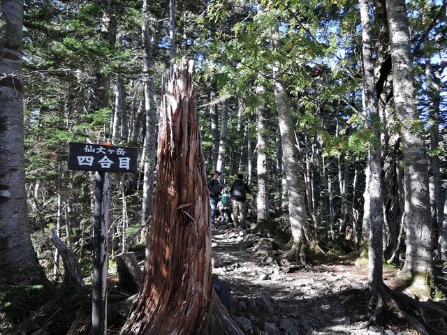 DSCN8706_R