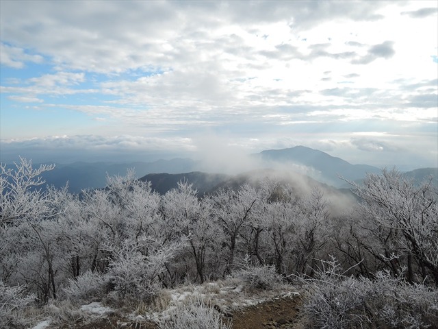 DSCN4237_R