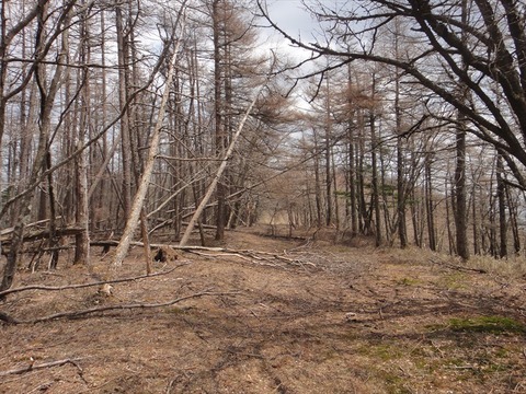 DSC07093_R