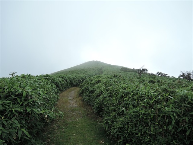 DSCN7903_R