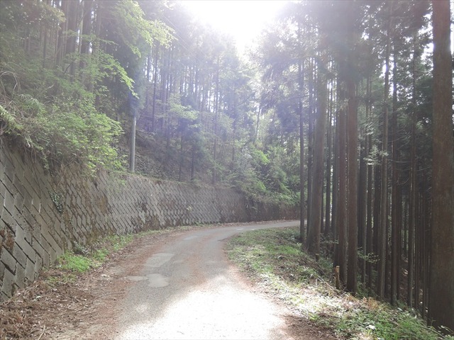 DSCN7635_R