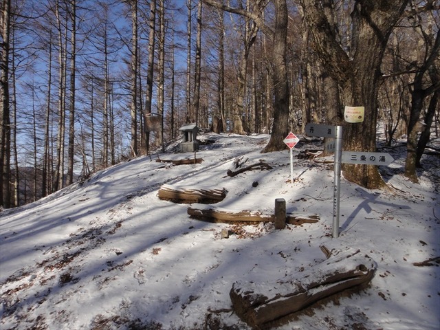 DSC00319_R