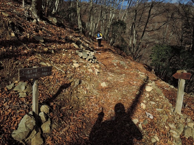 DSCN9205_R