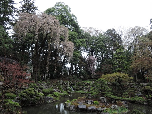 DSCN1111_R